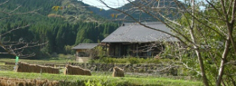 萬田農園