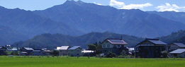 徳田農産